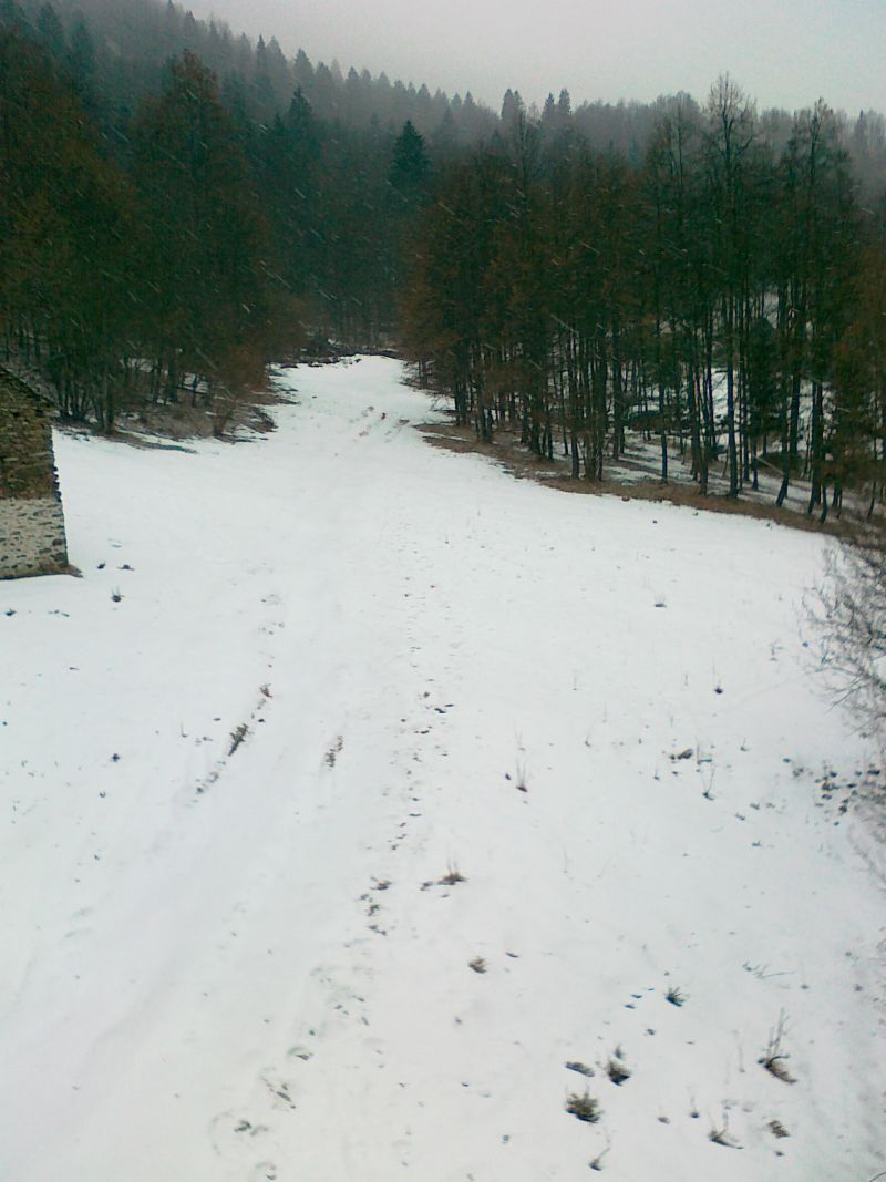 61450-29012011249.jpg