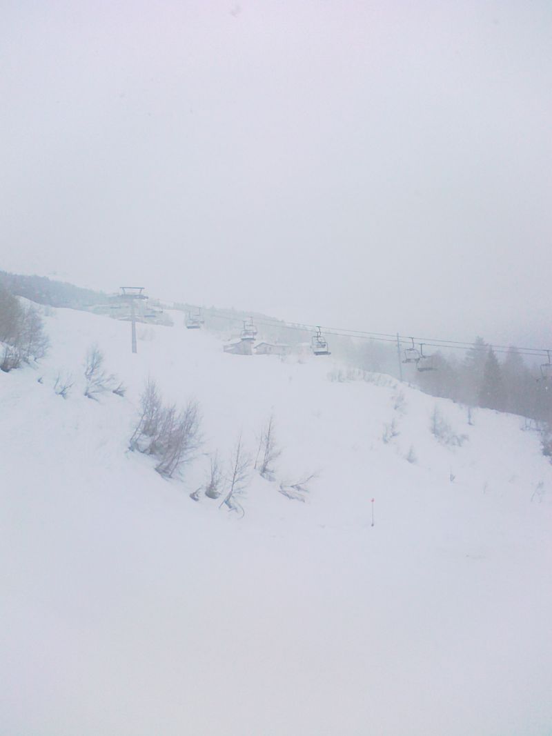 61451-29012011250.jpg