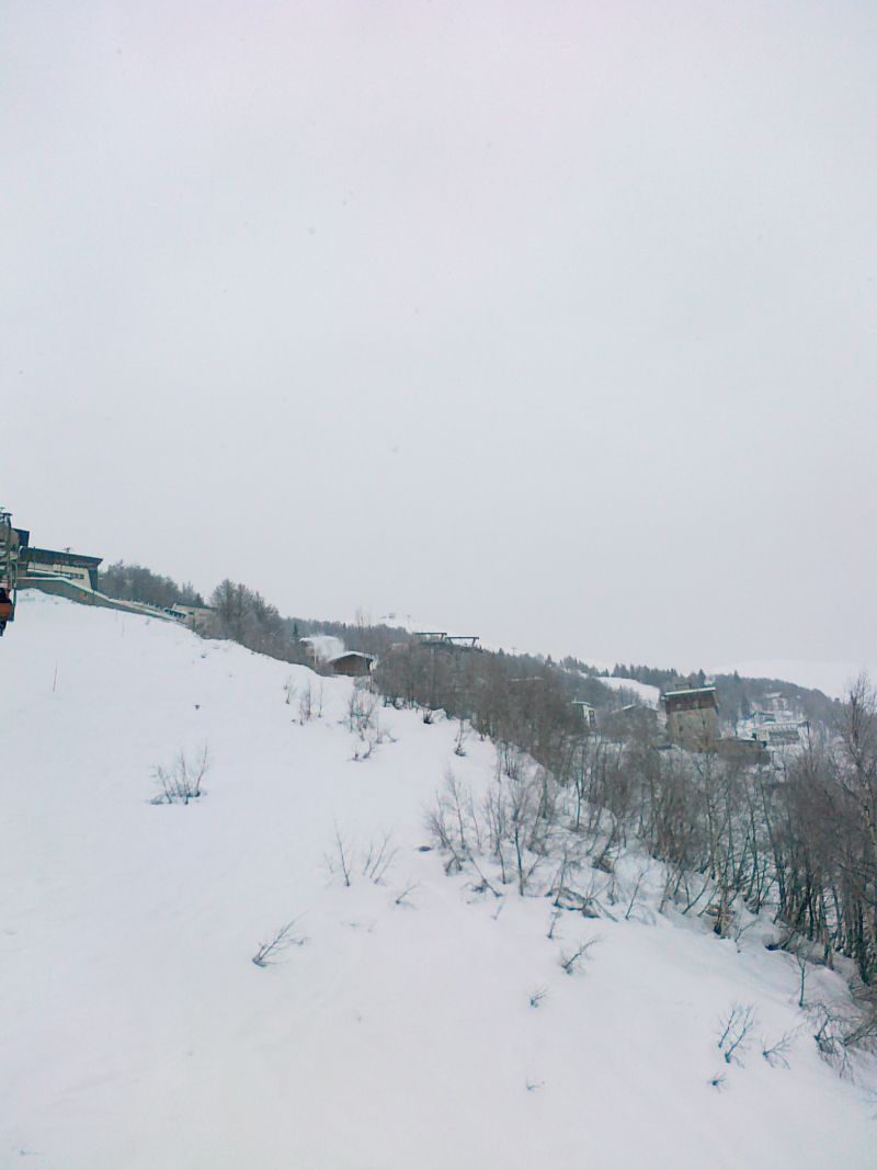 61452-29012011252.jpg