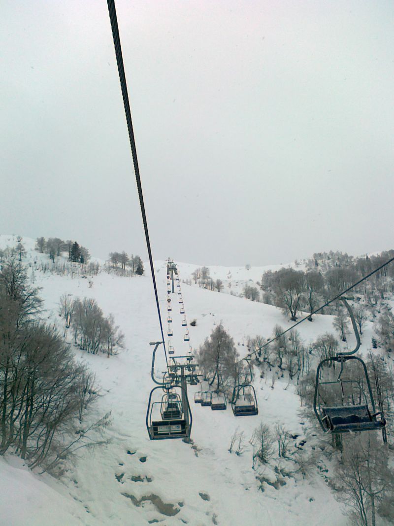 61453-29012011253.jpg