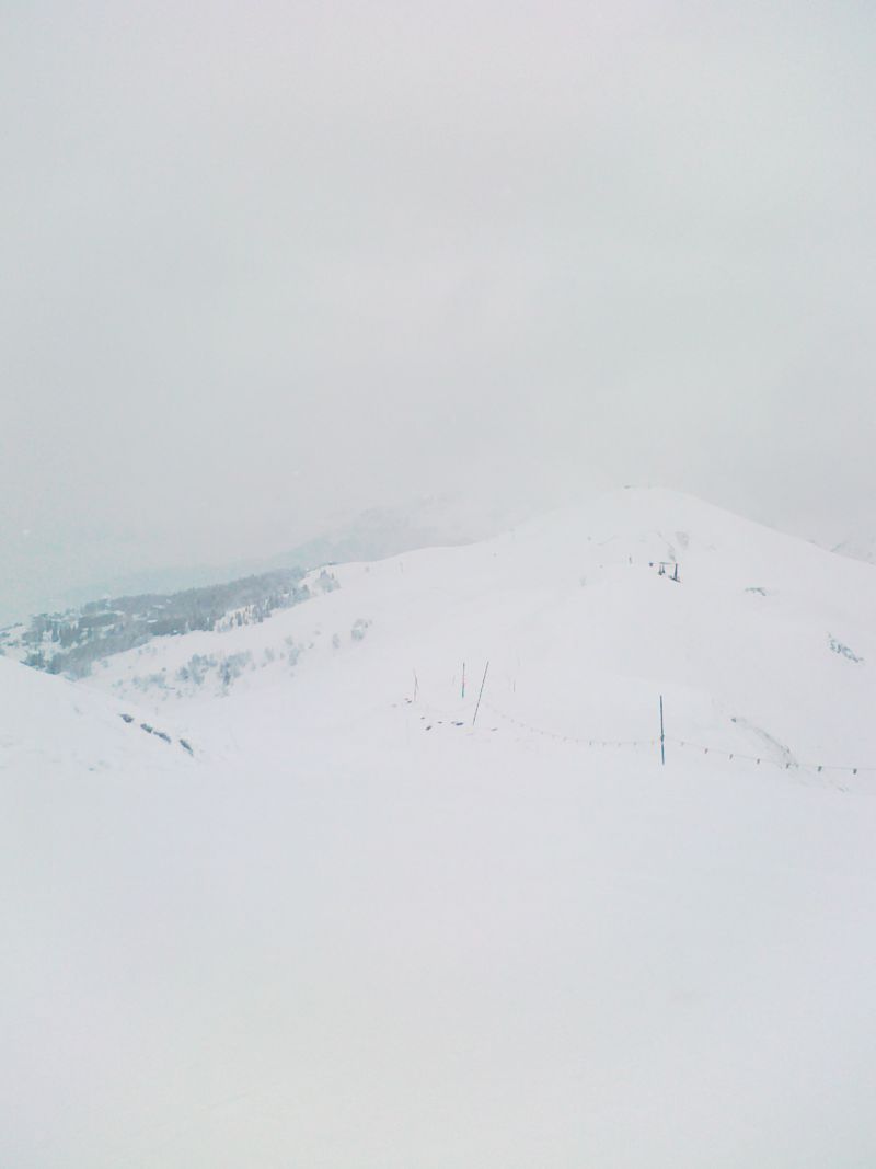 61454-29012011257.jpg