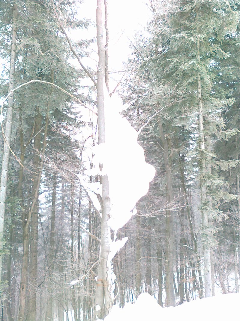 61459-29012011264.jpg