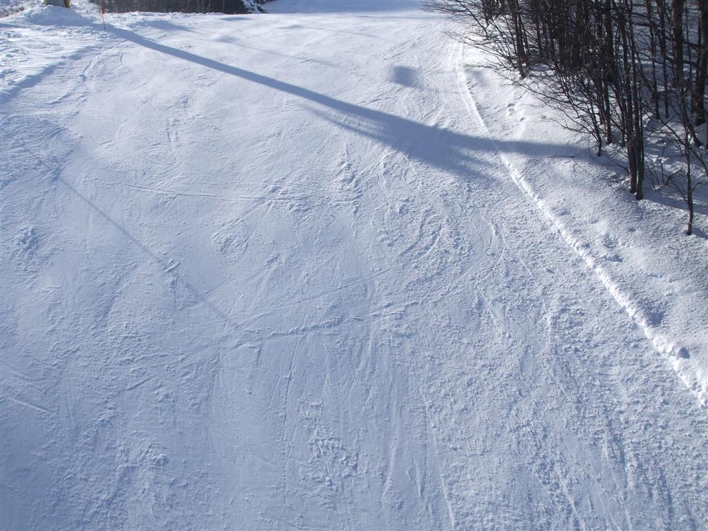61833-foto-021-medium.jpg