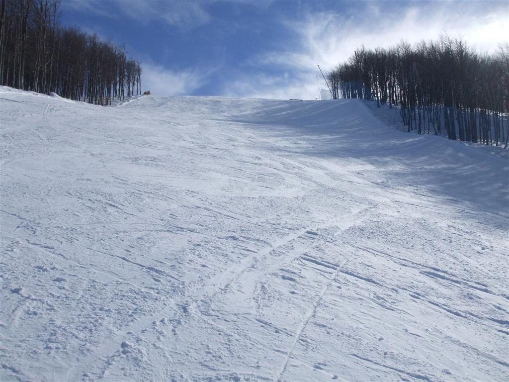 61842-foto-038-medium.jpg