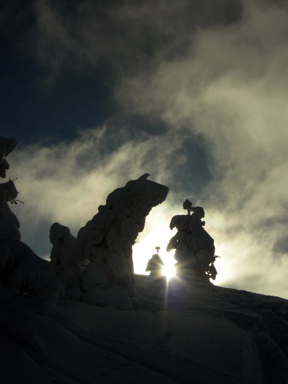 61849-mt-horn-990-x-1320.jpg