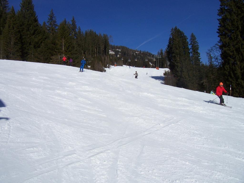 62181-10013071024x768.jpg