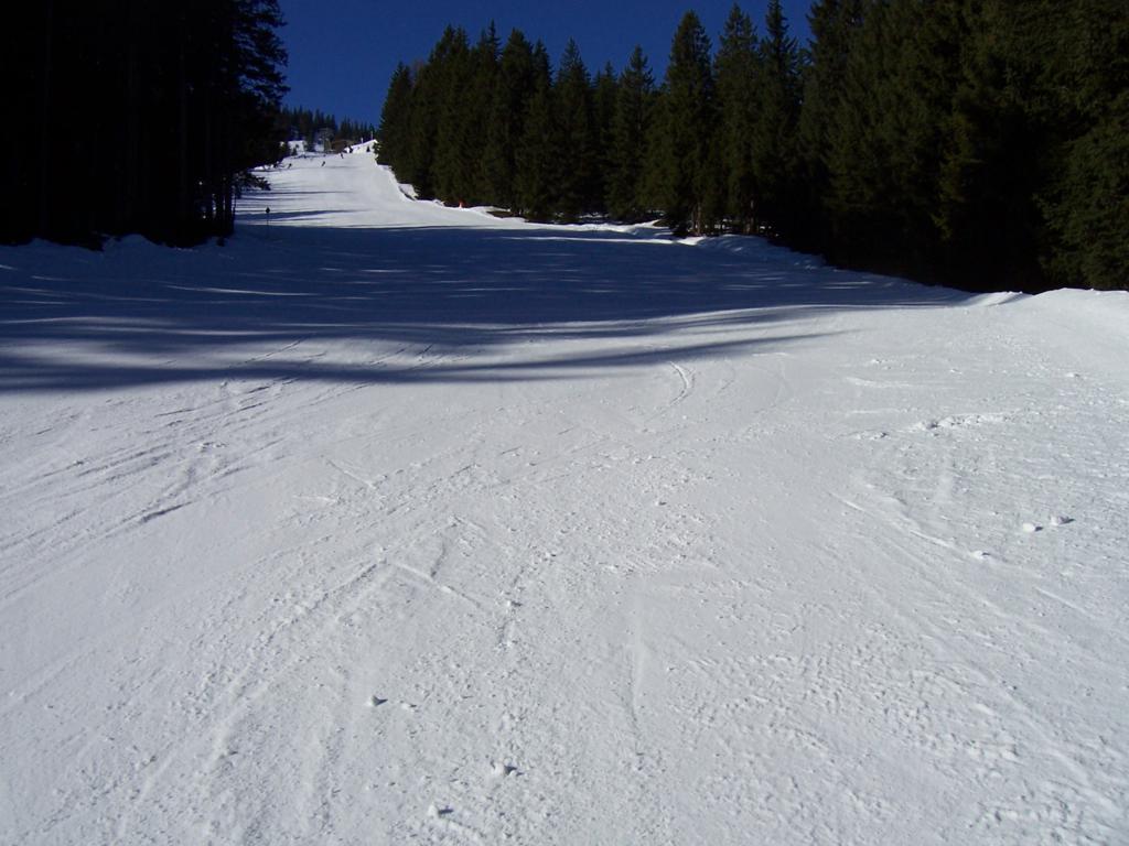 62199-10013501024x768.jpg