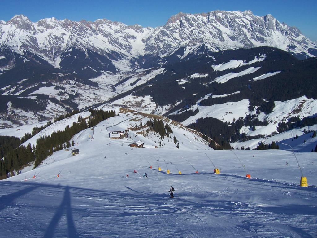 62213-10013831024x768.jpg