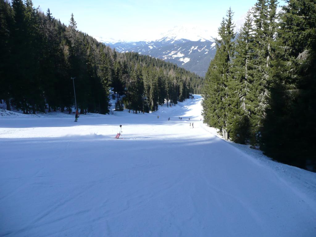 62222-p10702431024x768.jpg