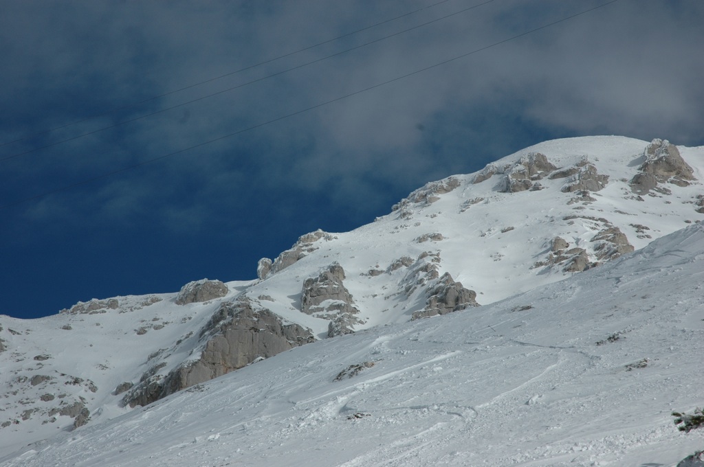 62920-primaxl.jpg