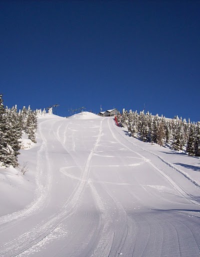 63258-10016761.jpg