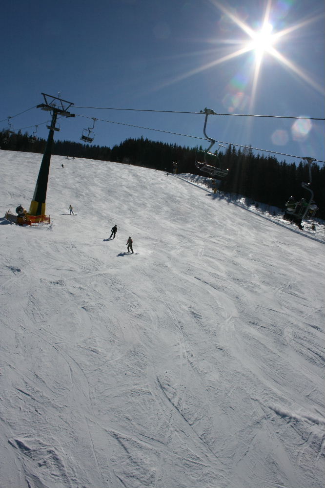 63564-img3777.jpg