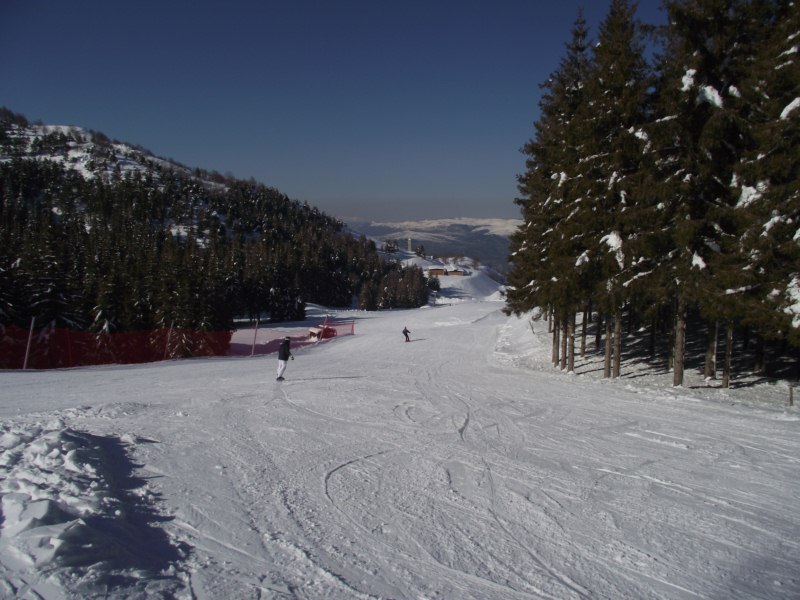 63861-d.jpg