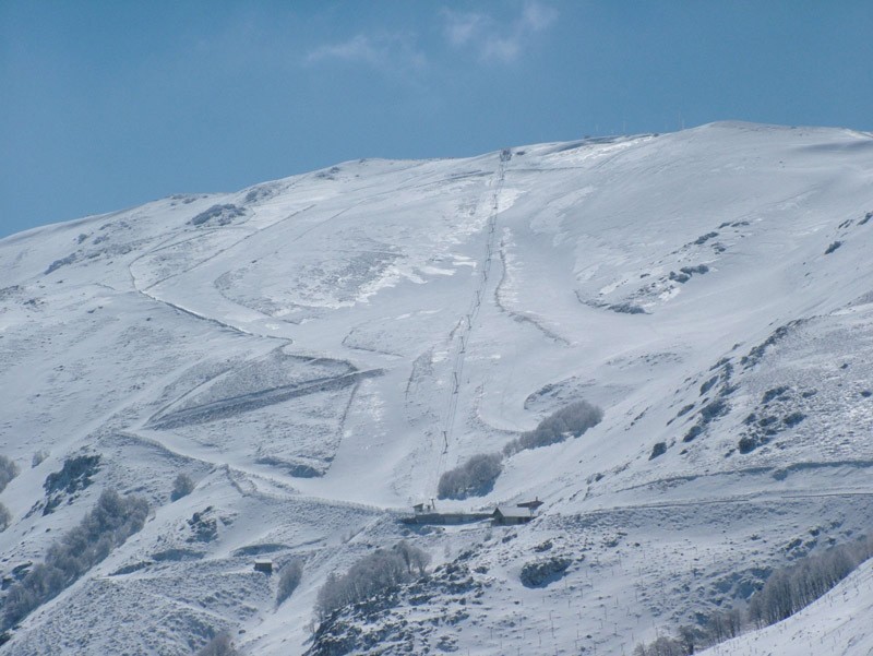 63880-bruncu.jpg