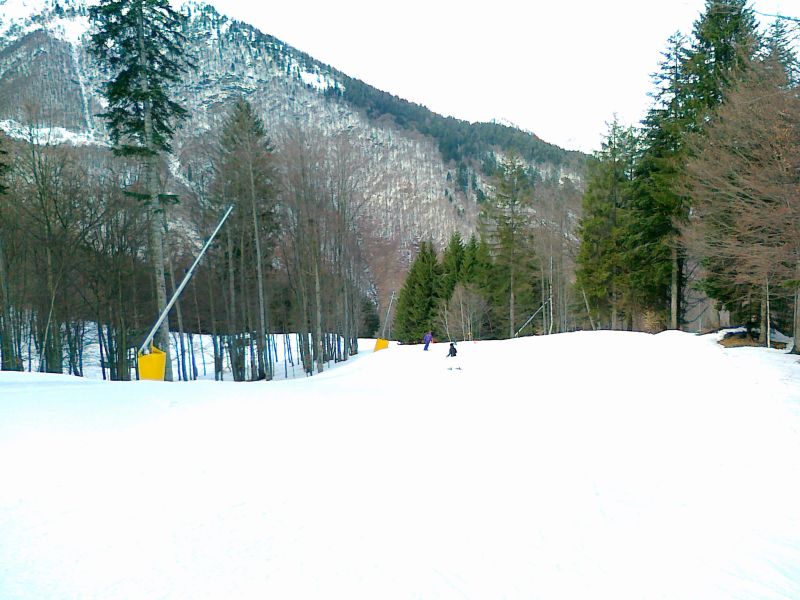 64033-19032011358.jpg