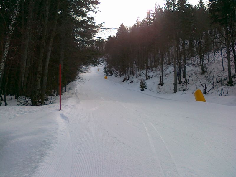 64034-19032011359.jpg