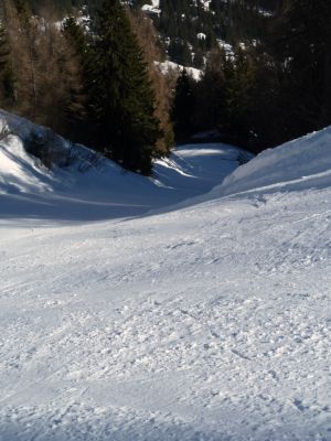 64146-p1000951skif.jpg