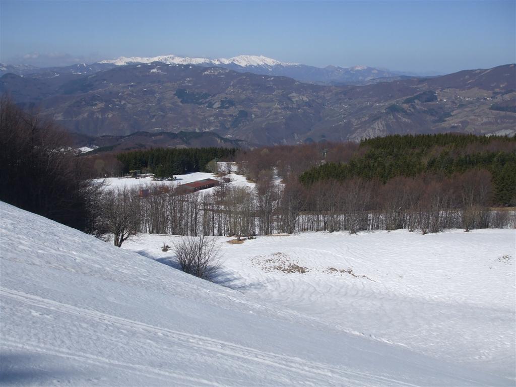 64436-foto-020-medium.jpg
