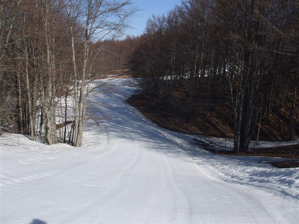 64658-foto-019-medium.jpg