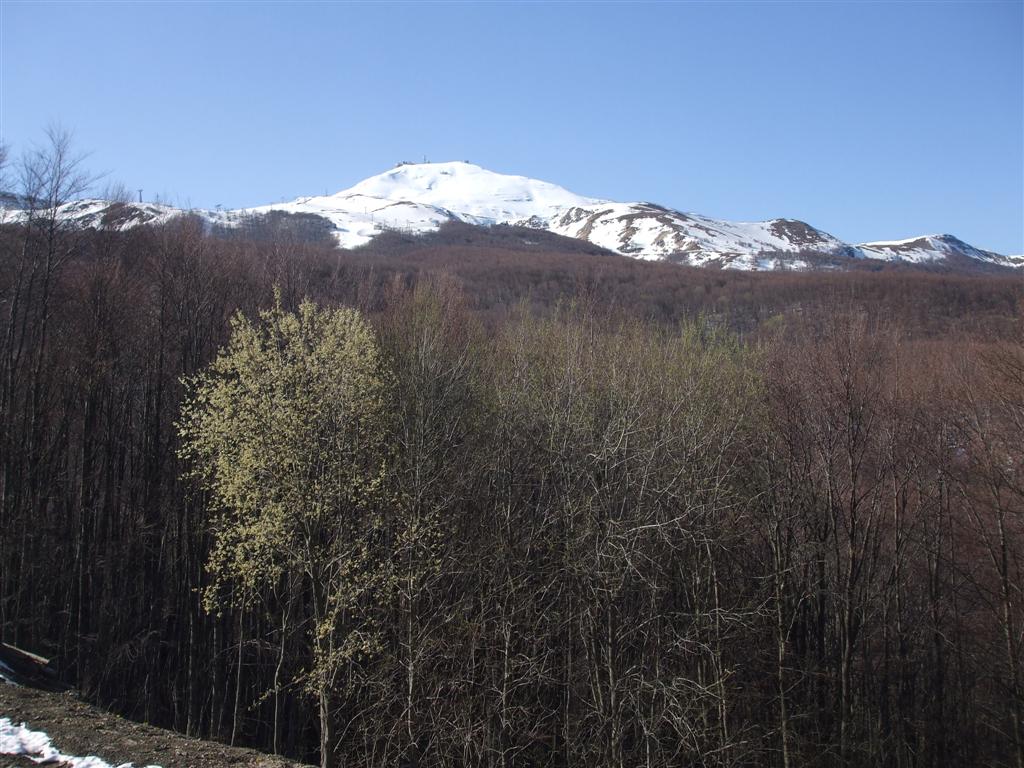 64659-foto-022-medium.jpg