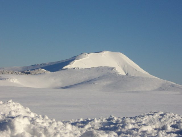 65247-phocathumblmviglio.jpg