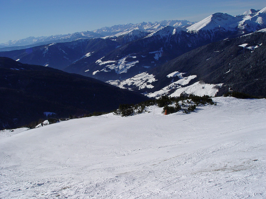 66362-pistasci.jpg