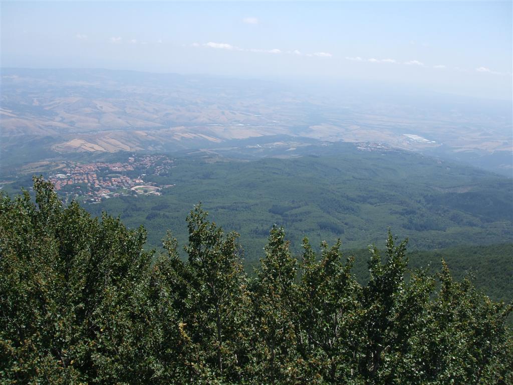 66403-foto-038-medium.jpg