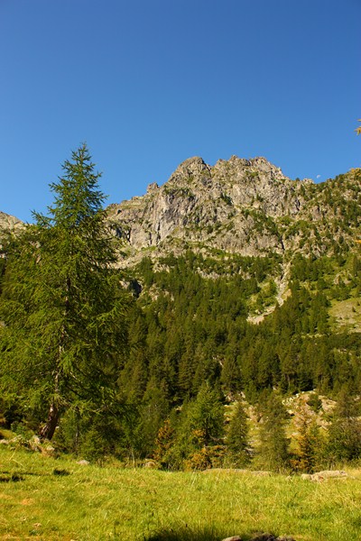 66417-2011-07-22-valgerola-trekking-008-800x600.jpg