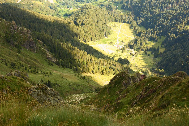 66483-2011-07-22-valgerola-trekking-parte-2-080-800x600.jpg