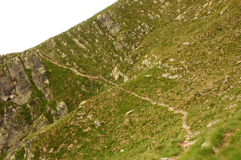 66487-2011-07-22-valgerola-trekking-parte-2-091-800x600.jpg