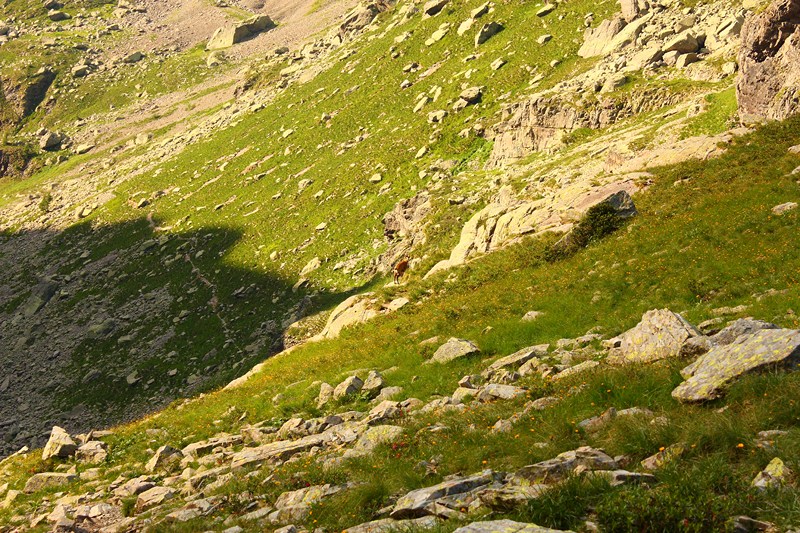 66501-2011-07-22-valgerola-trekking-parte-2-123-800x600.jpg