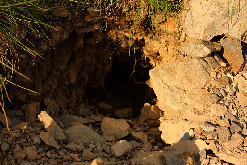 66506-2011-07-22-valgerola-trekking-parte-2-136-800x600.jpg
