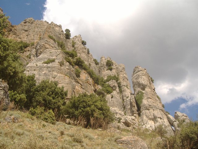 66540-dscf4166-rid.jpg