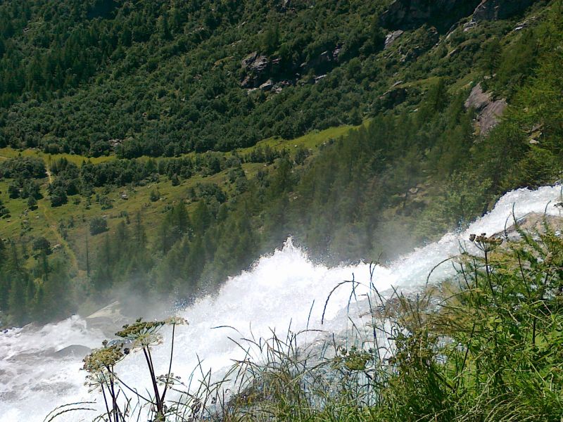 66581-31072011595.jpg