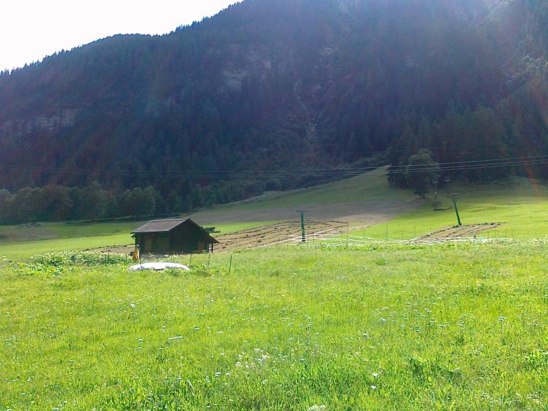 66589-31072011603.jpg