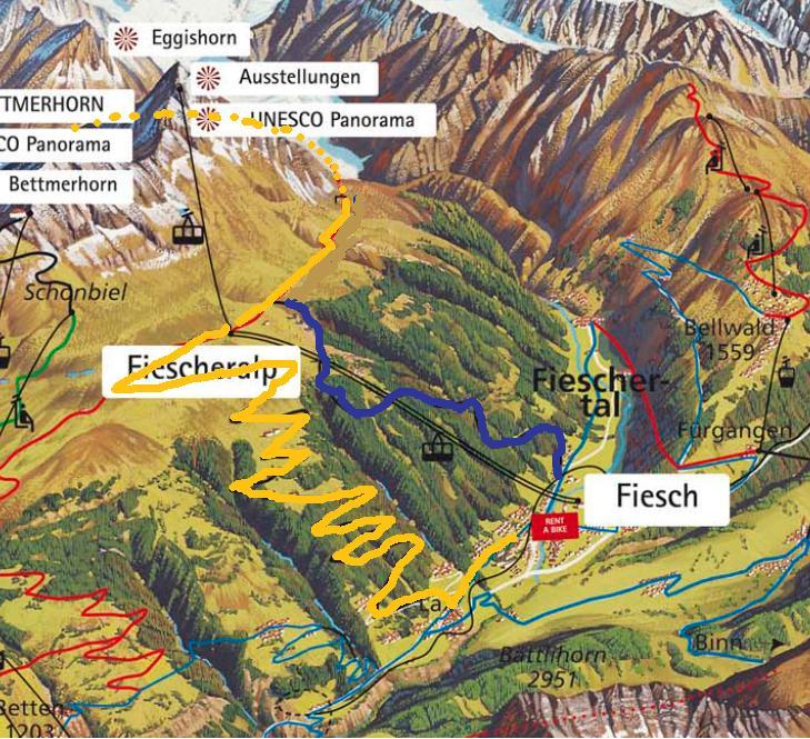 66991-immagine-fiesh.jpg