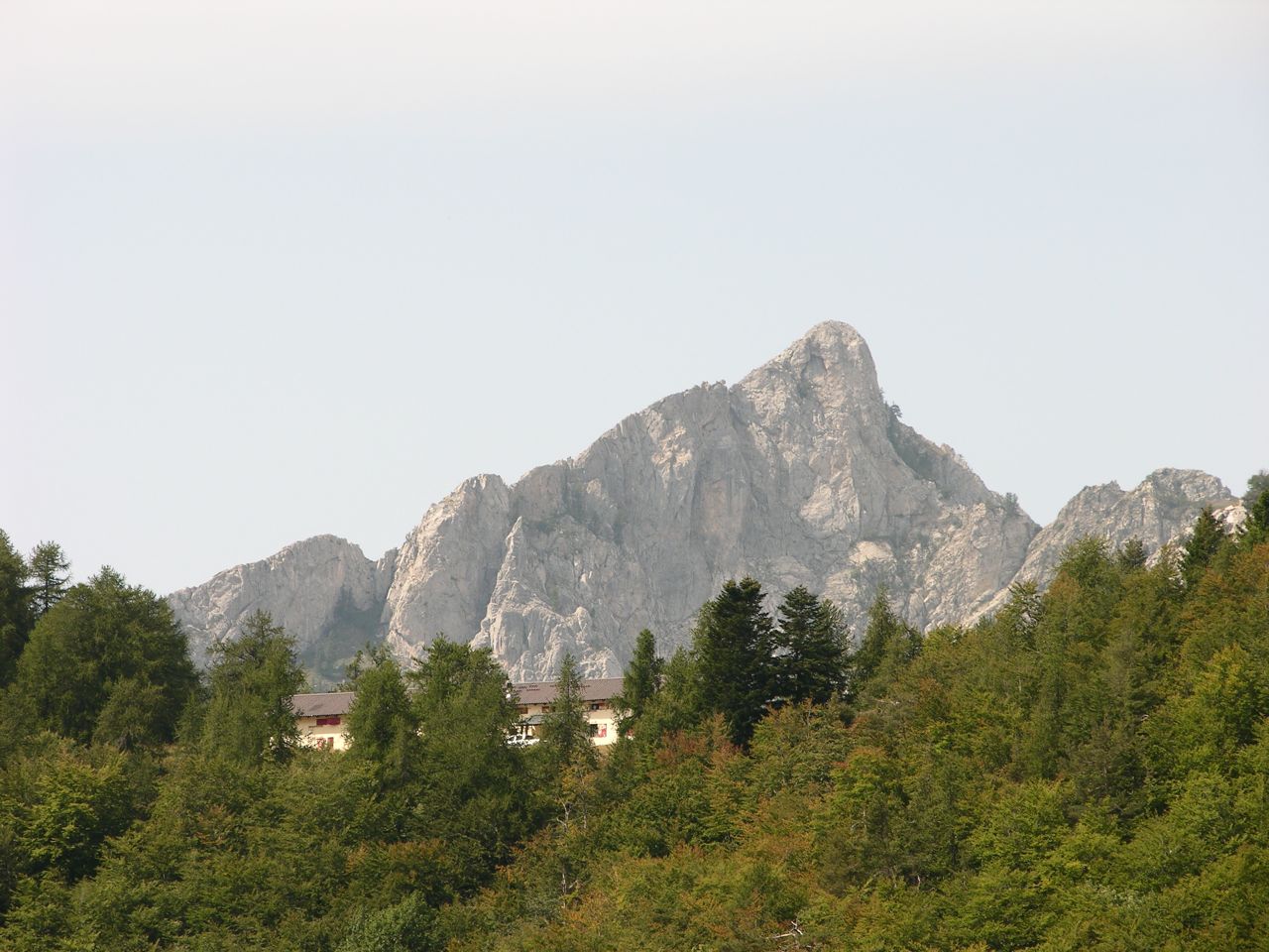 67044-dscn0785.jpg
