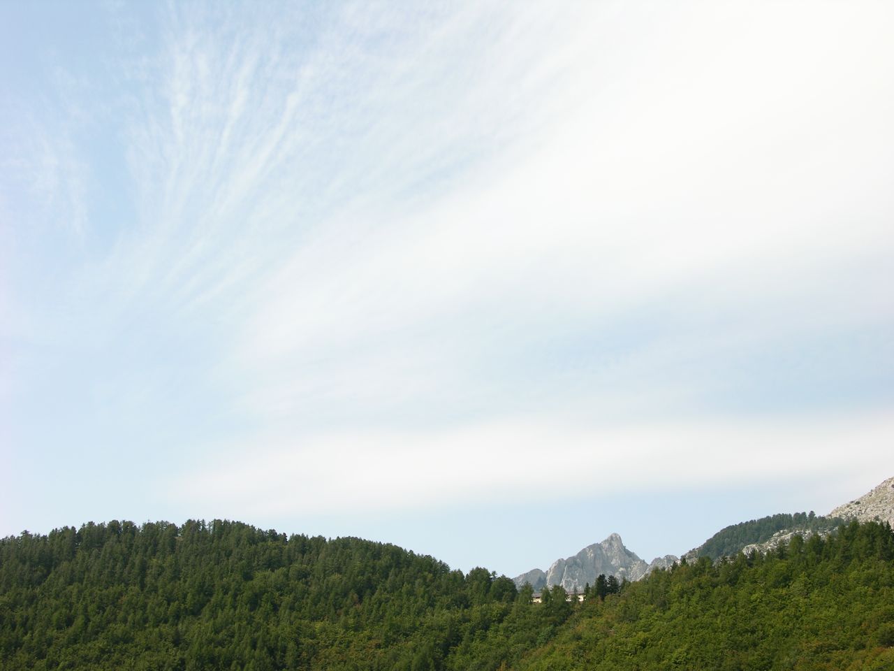 67045-dscn0784.jpg