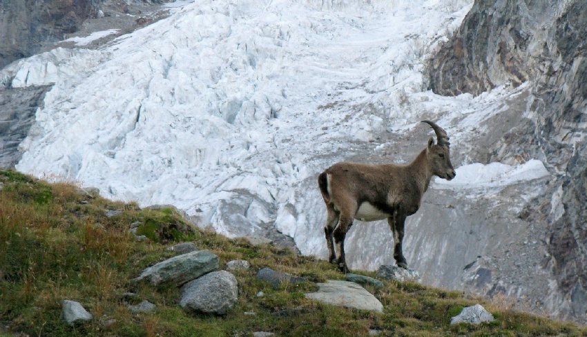 67326-003verra.jpg