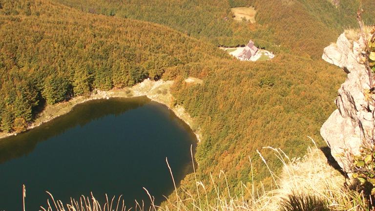 67634-lago-palo-forum.jpg