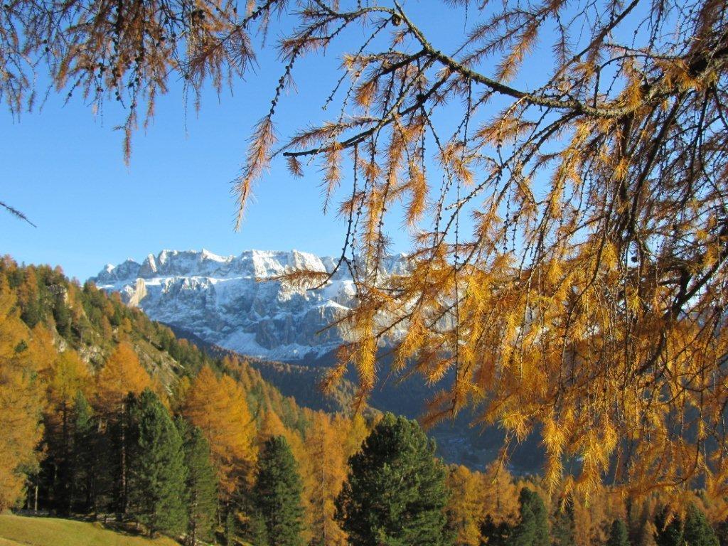 68469-sella-da-juac.jpg