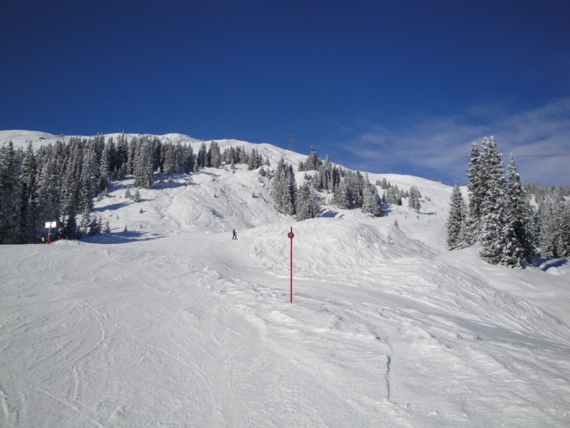 68573-dsc02268.jpg