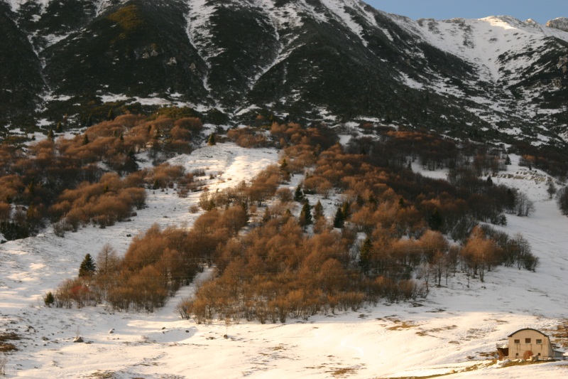 68591-skiforum.jpg