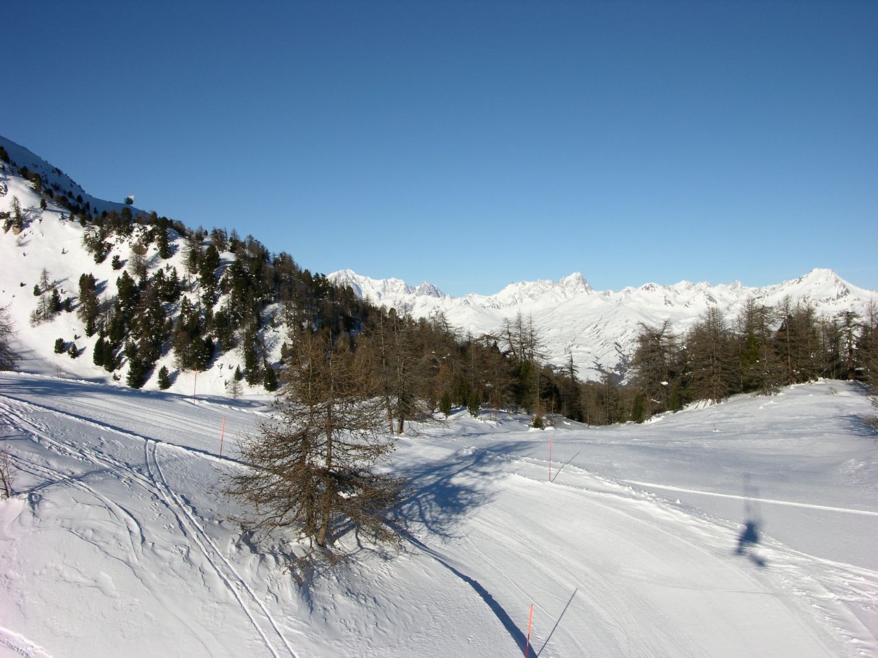 70338-pila018.jpg