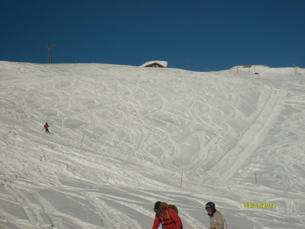 70620-9-trifolazione.jpg