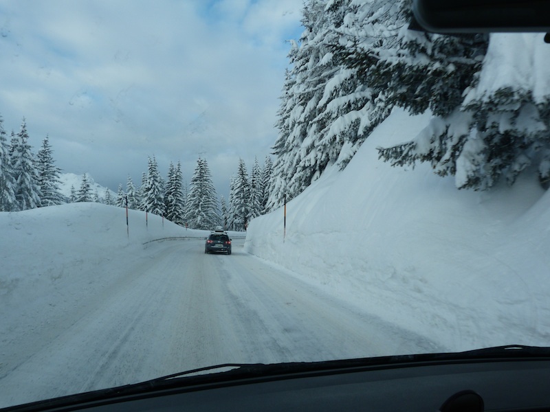 72273-arlberg-pini.jpg