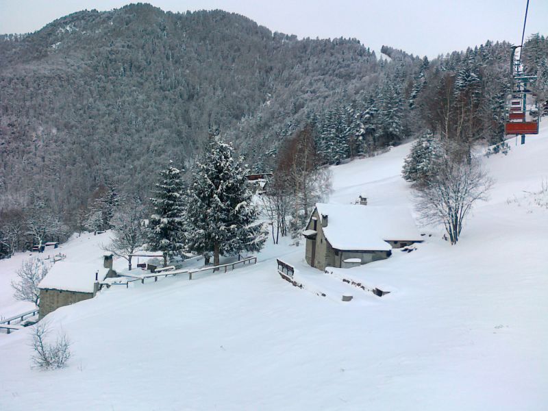 72491-01022012883.jpg