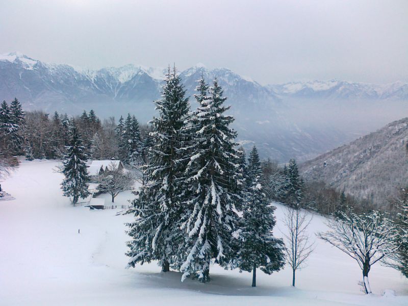 72492-01022012884.jpg