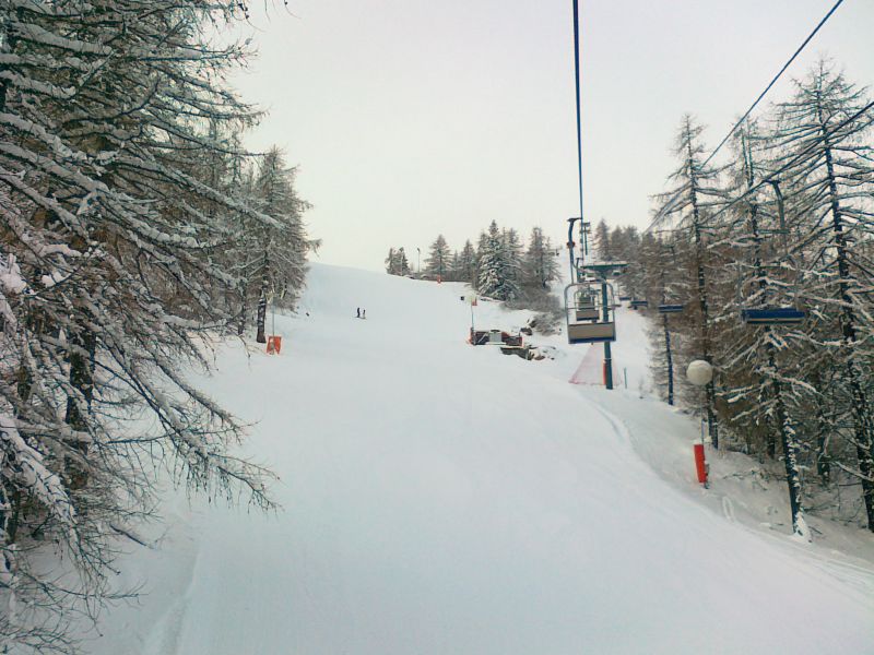72495-01022012891.jpg