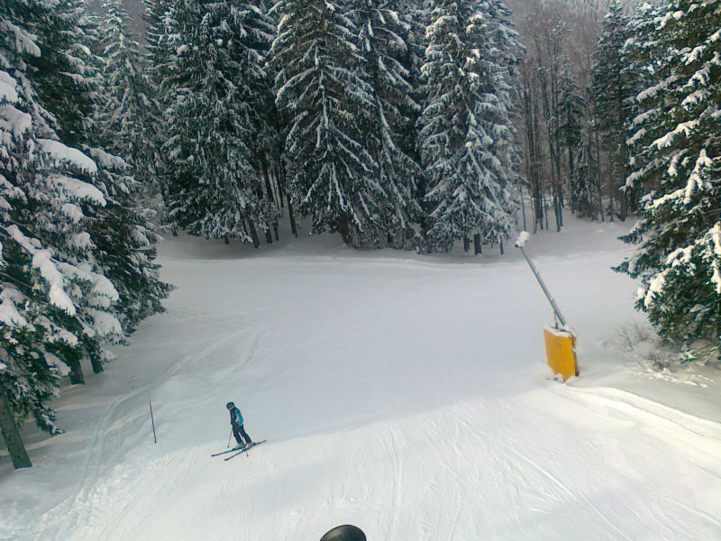 72810-04022012900.jpg
